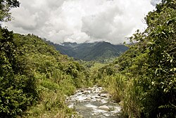 Río Blanco en el cantón de Pérez Zeledón