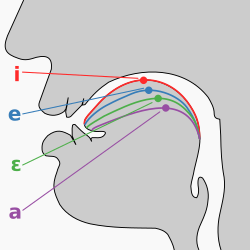 Diagrama de las posiciones de la lengua para vocales cardinales