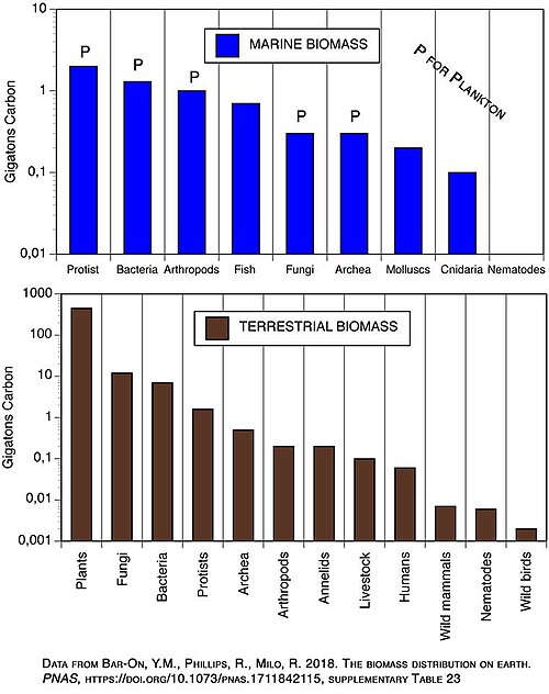 Biomasa por forma de vida