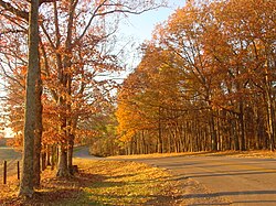 Paisaje otoñal en una carretera hacia el lago Lindsey en el Parque estatal David Crockett