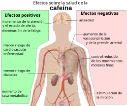 Efectos generales de la cafeína en la salud