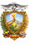Bandera oficial de Piñas