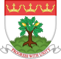 Escudo representativo del municipio
