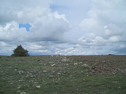 Paisaje de páramo en el Parque natural de las Hoces del Río Duratón