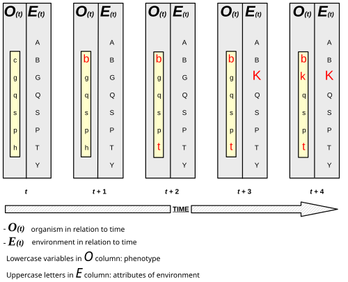 Diagrama de la construcción de nicho en el tiempo evolutivo