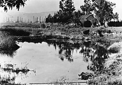 Los pozos de brea en 1910 con torres de perforación de petróleo al fondo.