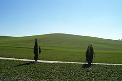 Paisaje de colinas onduladas en Val d'Orcia