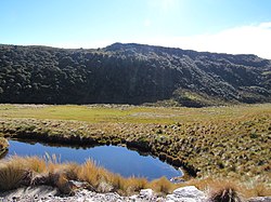 Paisaje del Parque Nacional Natural Puracé