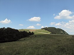 Panorama desde la carretera
