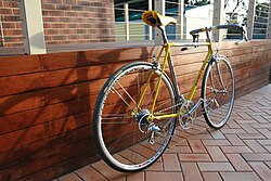 Bicicleta Gazelle Formula Race
