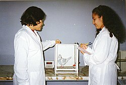 Estudiantes utilizando una caja de Skinner en un laboratorio universitario de psicología experimental.