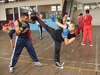 Representación y práctica del savate