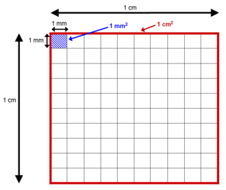 Representación de un cm² en rojo y de un mm² en azul
