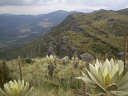 Páramo de Guerrero en Cundinamarca