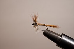 Mosca seca modelo Adams.