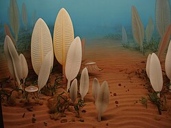 Recreación artística de un ecosistema marino en el periodo Ediacárico
