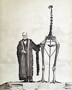 Sir Richard Owen junto a un esqueleto de Dinornis