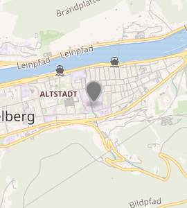 Mapa histórico y geográfico vinculado a la región de Heidelberg.