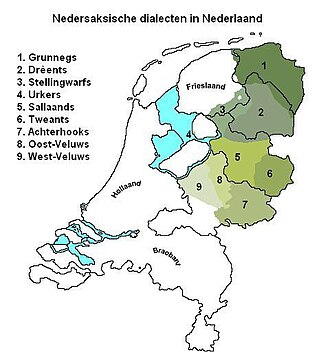 Dialectos del bajo sajón neerlandés.