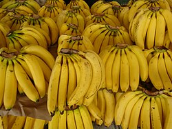Variedad de banano denominada plátano Tabasco