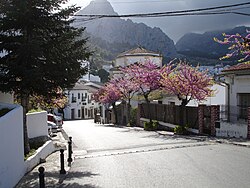 Paisaje montañoso de Grazalema