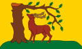 Bandera del condado de Berkshire
