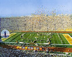 Espectáculo de medio tiempo del primer Super Bowl