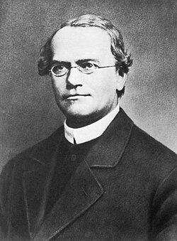 Retrato de Gregor Mendel