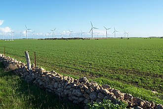 Cultivos agrícolas modernos en un campo abierto