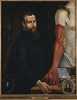 Retrato de Andreas Vesalius.
