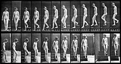 Comparativa visual entre el Desnudo bajando una escalera de Duchamp y cronofotografías de Eadweard Muybridge