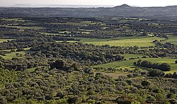 Paisaje del Somontano de Barbastro