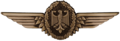 Representación de personal y mandos de la fuerza aérea