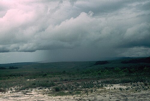 Lluvia de convección en un cumulonimbo