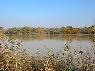 El río Guadalquivir a su paso por la ciudad de Córdoba