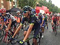 Pelotón de ciclistas agrupados durante la Vuelta 2017