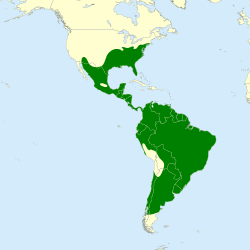 Mapa de distribución geográfica del buitre negro americano en América