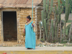 Mujeres Wayú