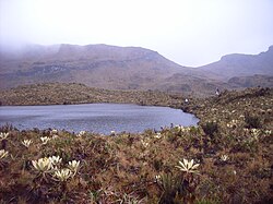 Laguna Las Reginas en el Páramo de las Papas, Macizo Colombiano.