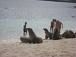 Entorno natural de una playa en las Islas Galápagos, Ecuador.
