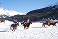 Polo sobre nieve.