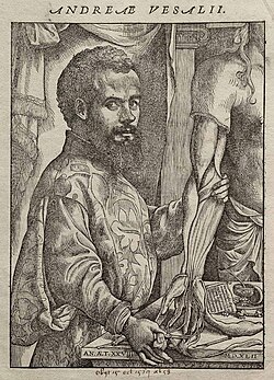 Retrato histórico de Andrés Vesalio procedente de su obra De humani corporis fabrica
