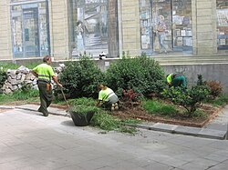 Árboles y vegetación en un parque urbano