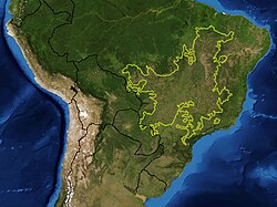 Ecorregión del Cerrado en Sudamérica