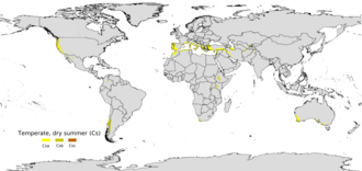 Mapa mundial que muestra la localización de los distintos tipos de clima mediterráneo en varias regiones del planeta.