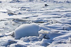 Formación de hielo en un entorno fluvial