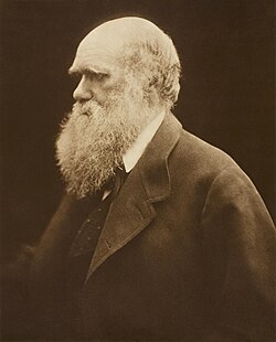 Retrato de Charles Darwin
