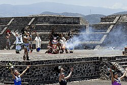 Llama panamericana en Teotihuacán.