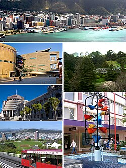 Vista general de Wellington