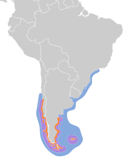 Mapa de distribución y hábitat del pingüino de Magallanes